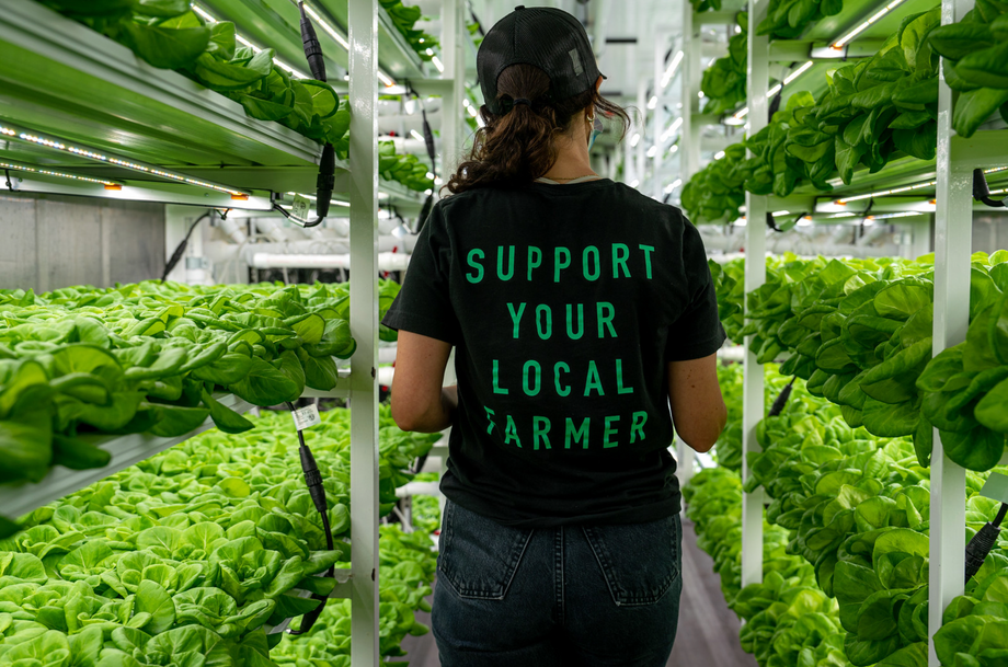 Greenhouse-Grown Baby Greens, 8 oz.