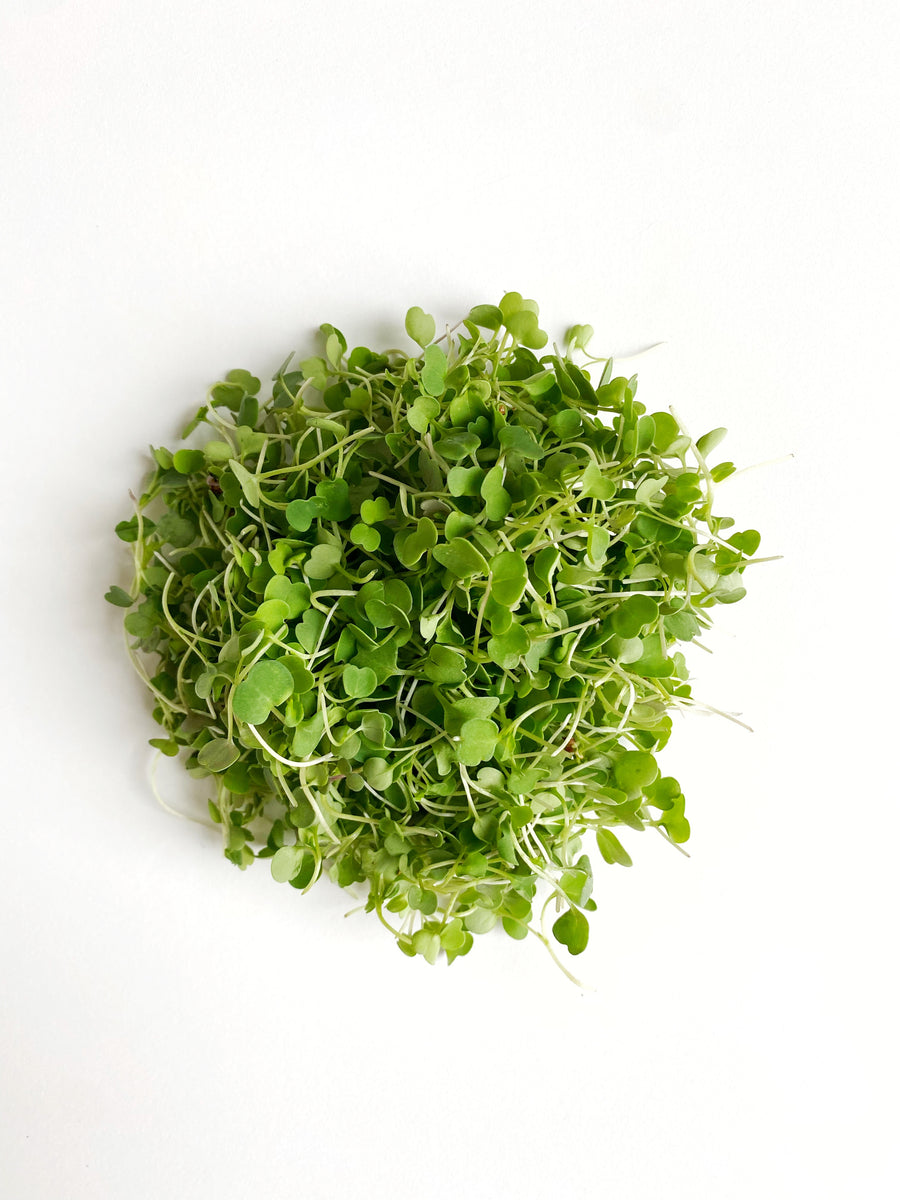 BSF - Micro Arugula - 2 oz – Brick Street Farms